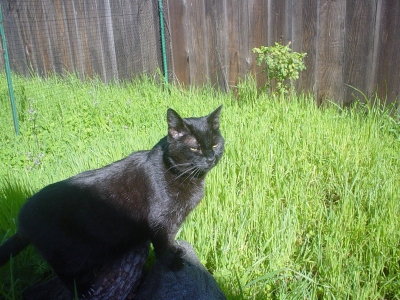 Lela, R.I.P.