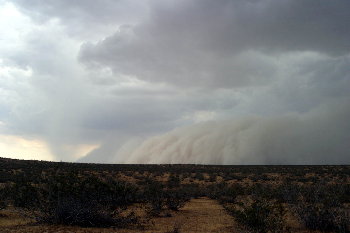 wall of dust approaching