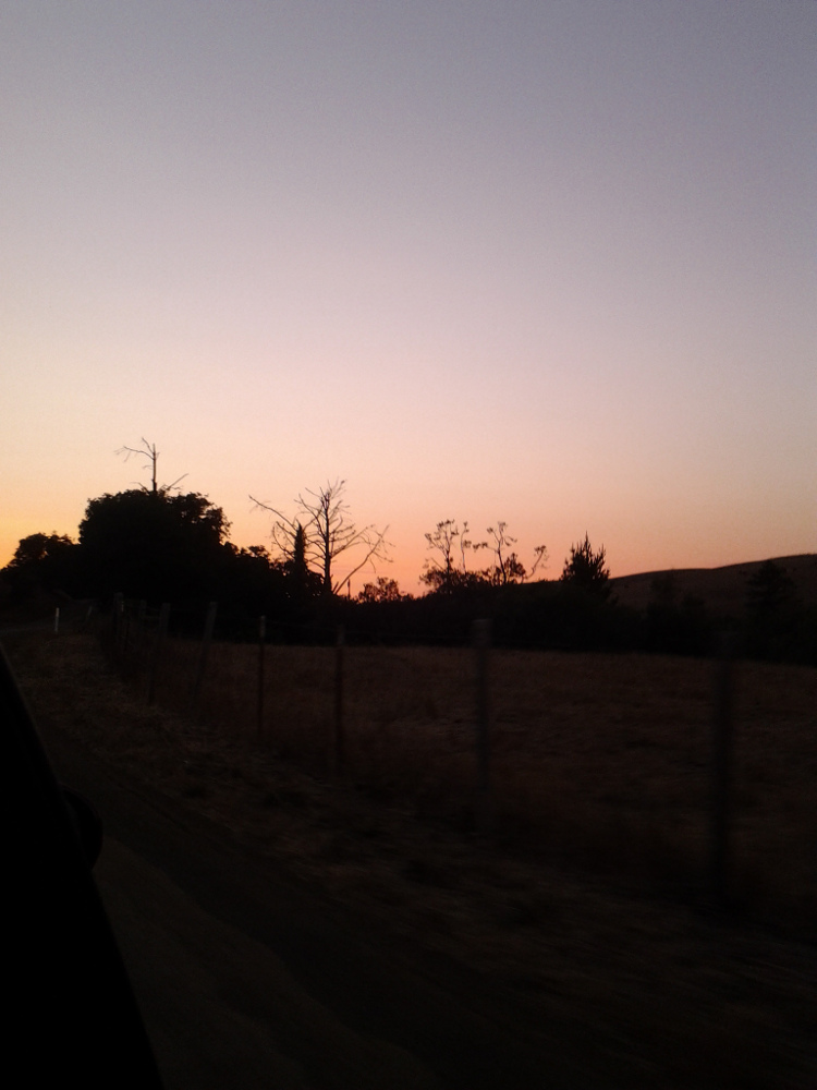 Roadside near Harmony