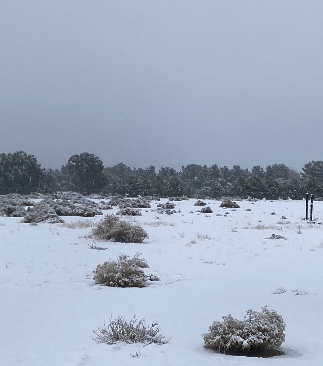 Boxing Day snow.