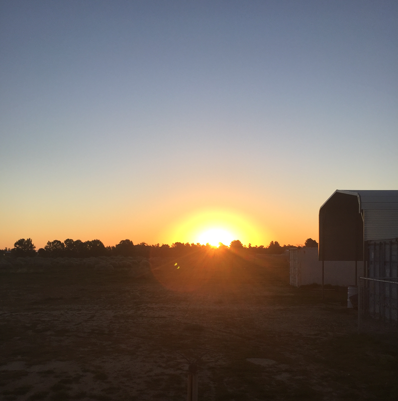 sunrise