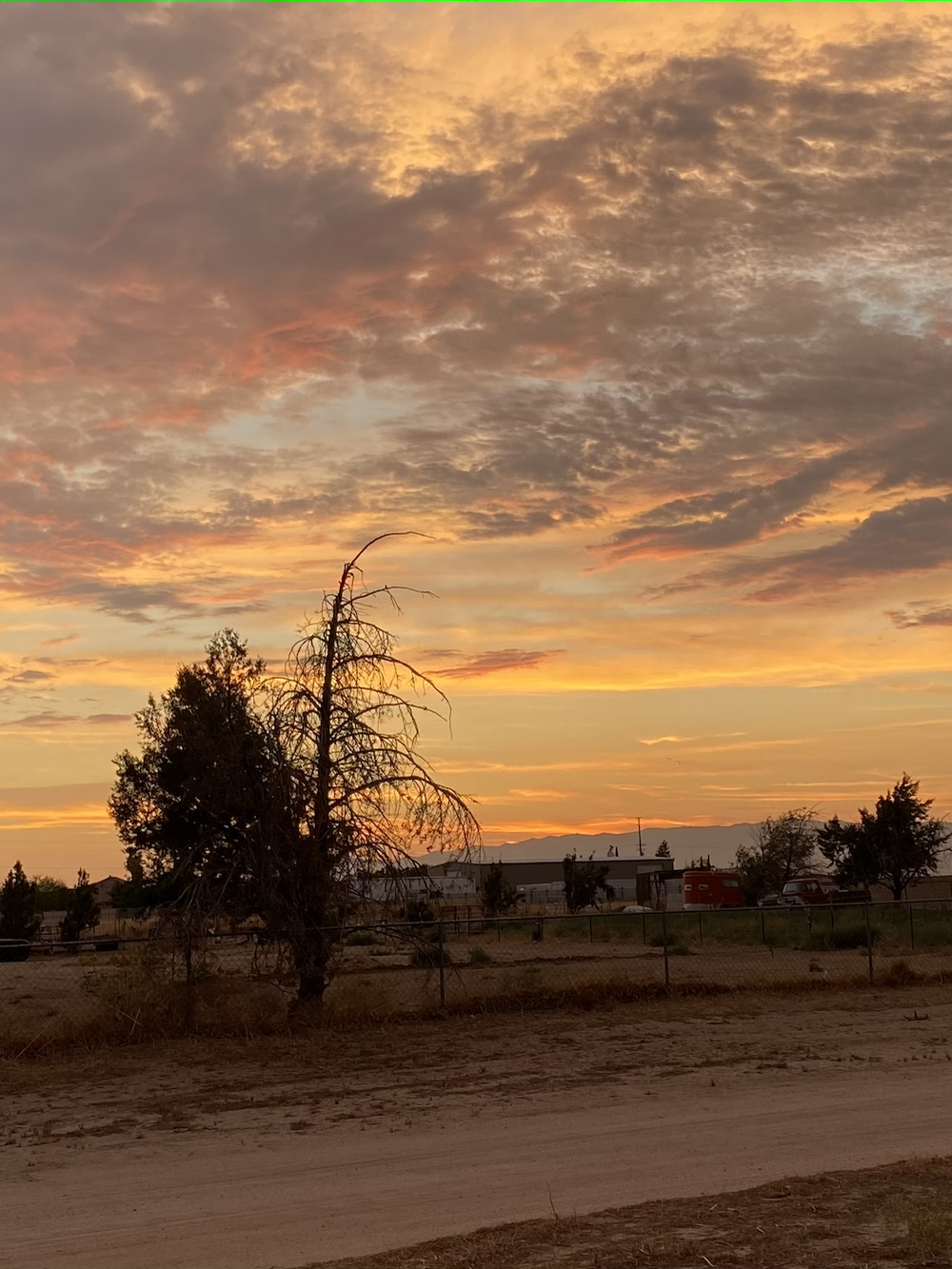 sunset