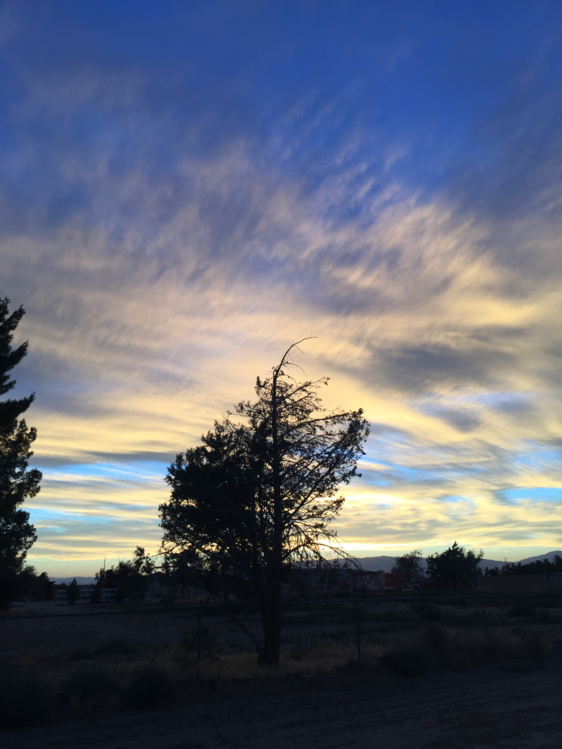 Antelope Acres sunset