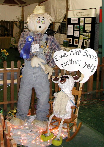 from the fair...