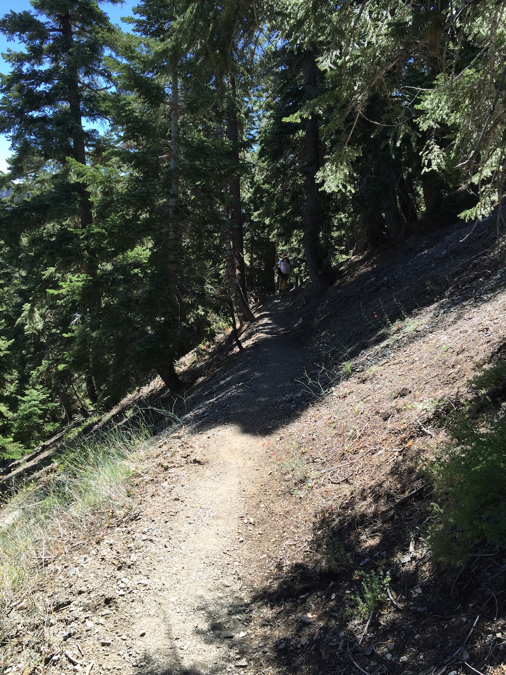 Mt. Baden Powell, Roger