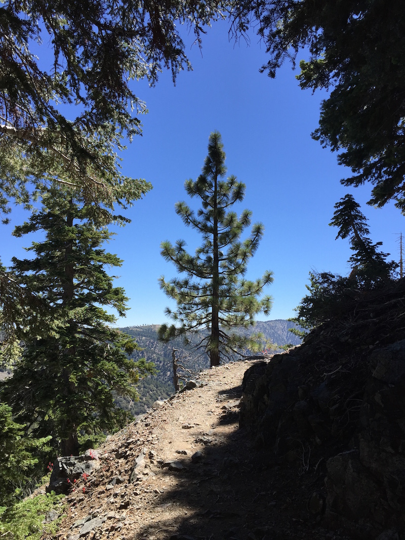 Mt. Baden Powell