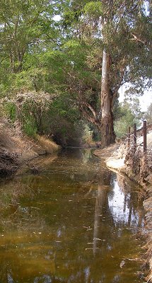 Beardsley Wash