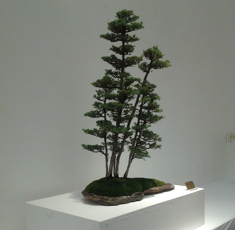Bosai exhibition at Little Tokyo Cultural Ctr. 2014