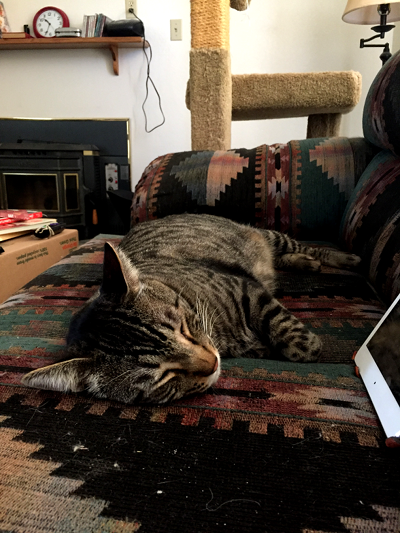 Budd asleep