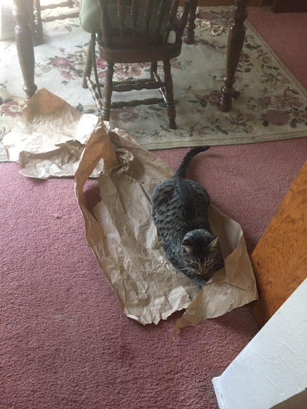 Budd rolling in butcher paper