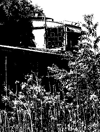 Old Caboose, 308, in black and white