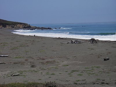 Beach at Cambria, Ca.