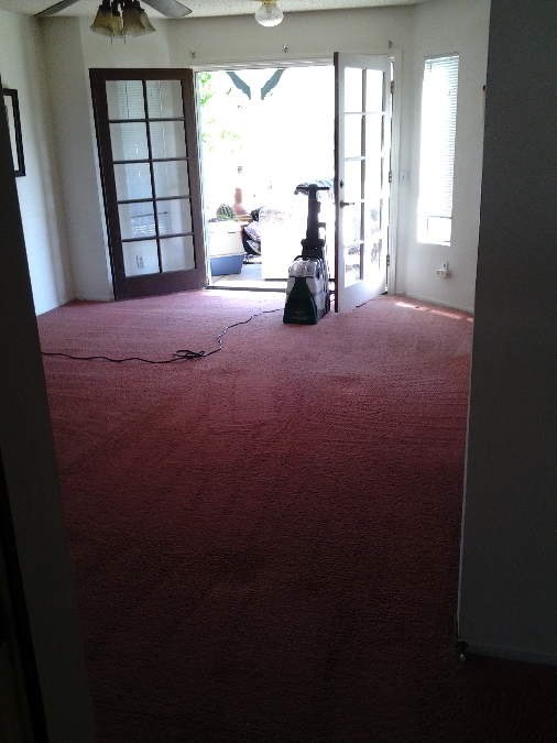 carpet cleaning