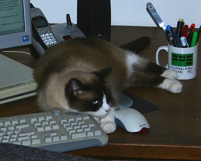 Riley on the mouse and keyboard
