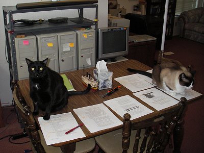 cat editors