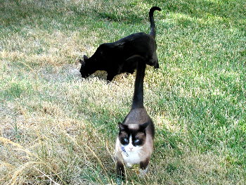 Riley and Phoebe outside..