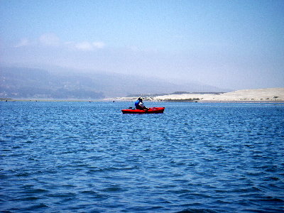 kayak on morro bay