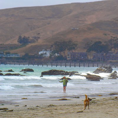 Cayucos beach, with pier