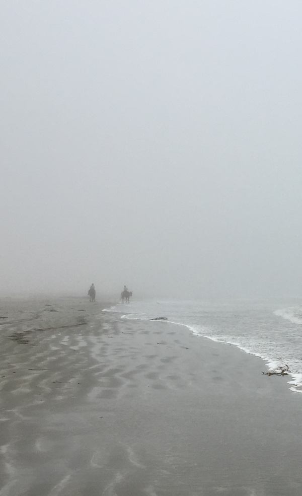horses in the fog