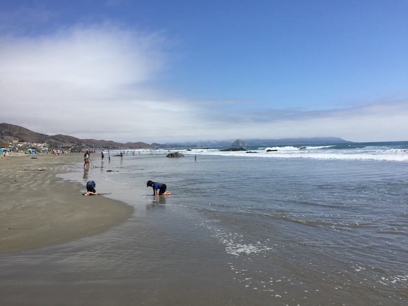 Cayucos beach scene