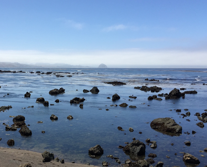 A rocky beach north of cayucos.