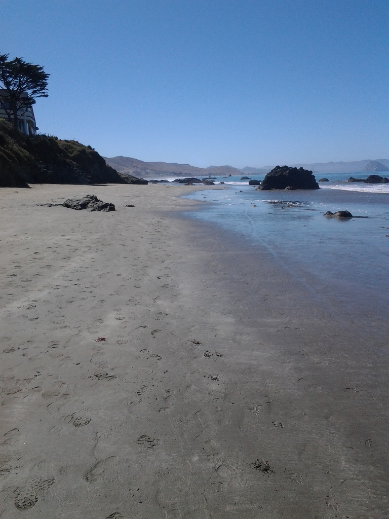Cayucos beach, 2014.