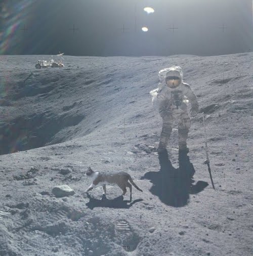 Charlie Duke, Apollo 16, rim of Plum Crater
