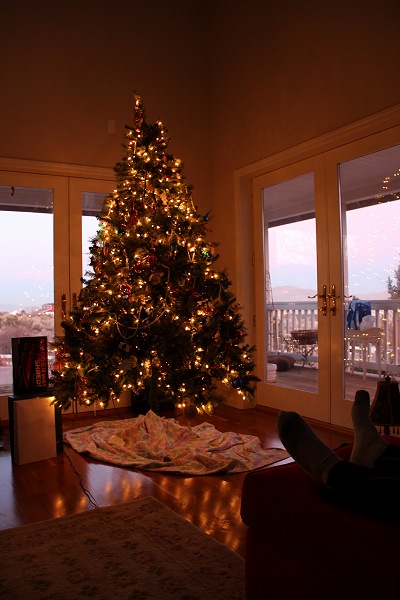 Christmas 2011, Reno