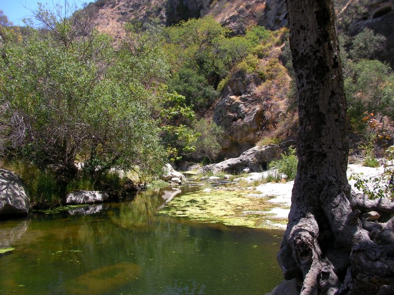 Conejo Creek