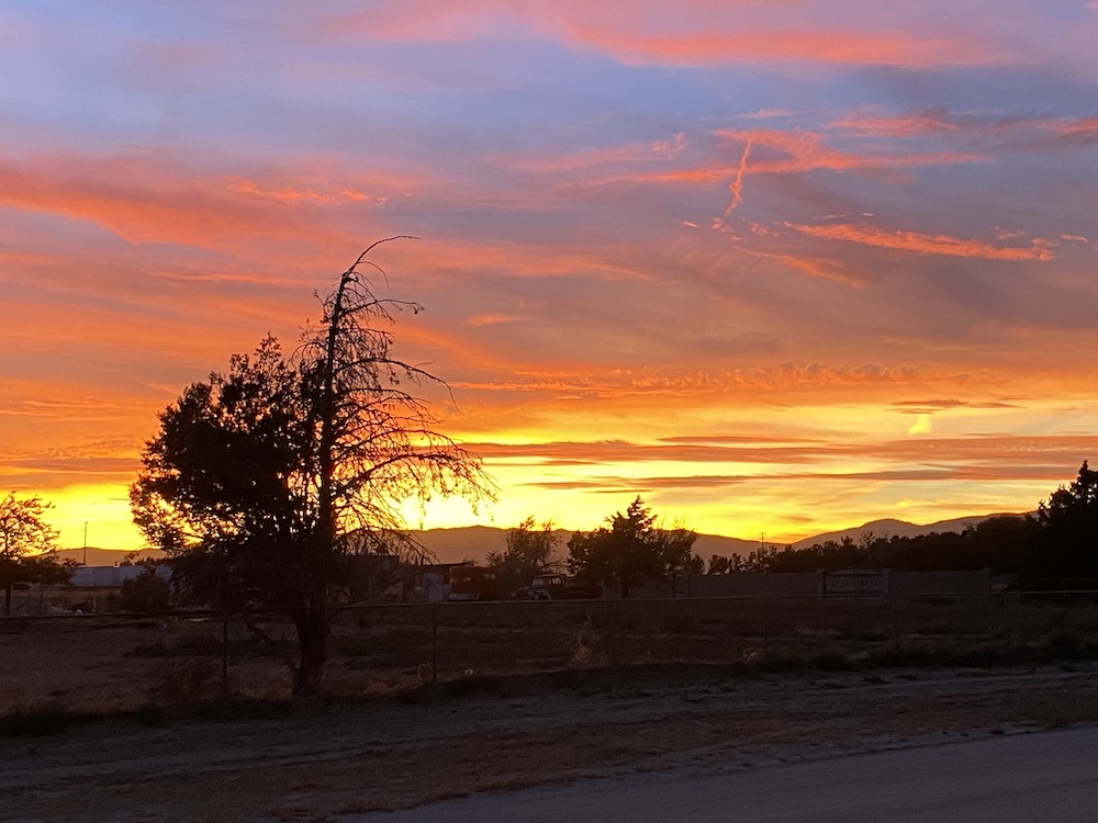 A crimson sunset.