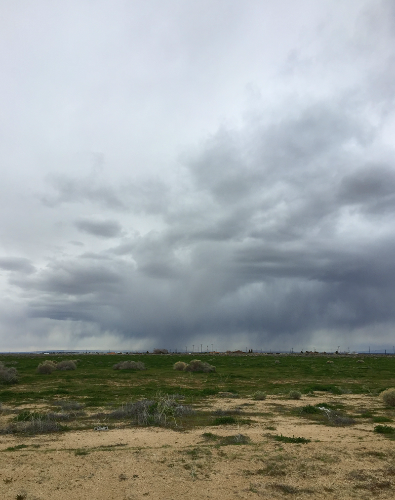 desert squalls 2019