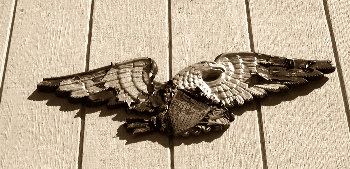eagle over dad's garage