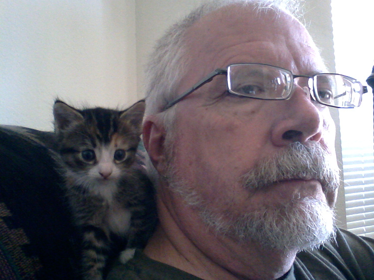 Suzy, hiding on my shoulder, September 2013.