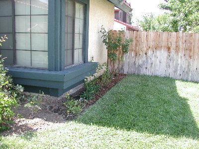 flower bed after weeding and planting