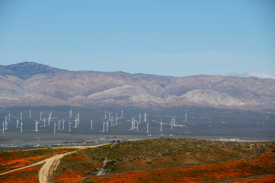 Windmills to the north of the Poppy Reserve