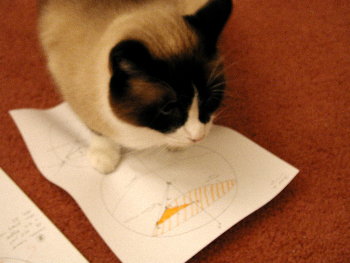 Riley helps out with a geometrical proof