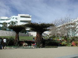 getty museum