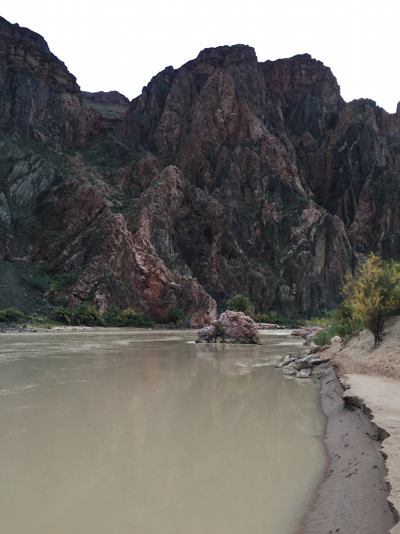 The muddy waters of the Colorado