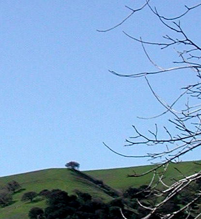 green hills and blue skies