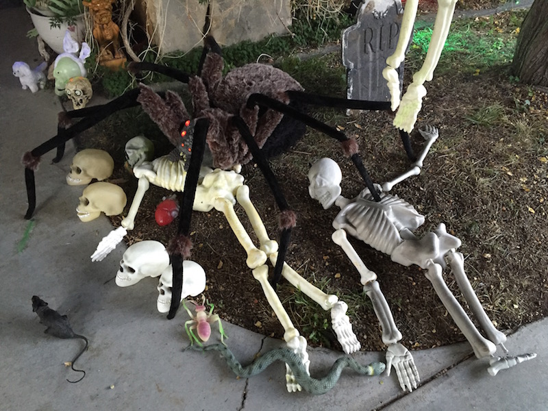 halloween