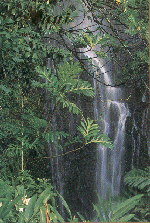 hawaii