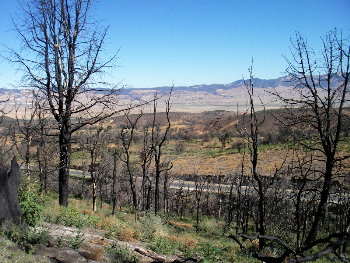 Horse Trail Campground, fire remnants