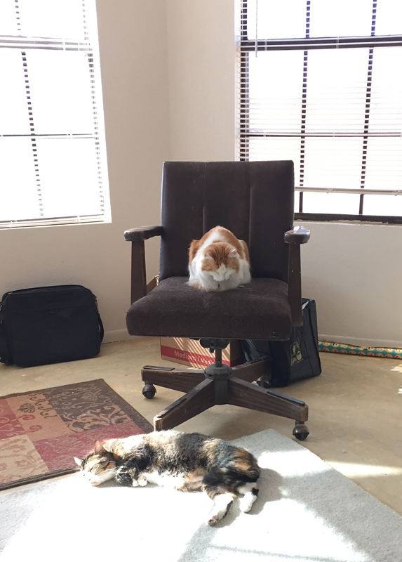 jim and suzy napping