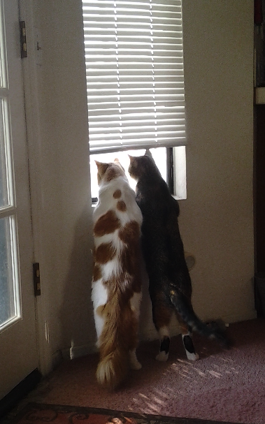 Jimmy and Suzy