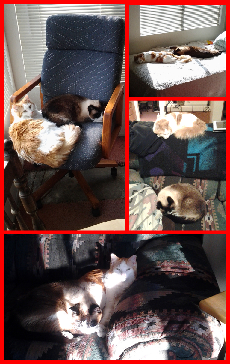 Jimmy really likes hanging around old Riley...