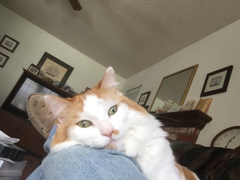 Jimmy on my knee