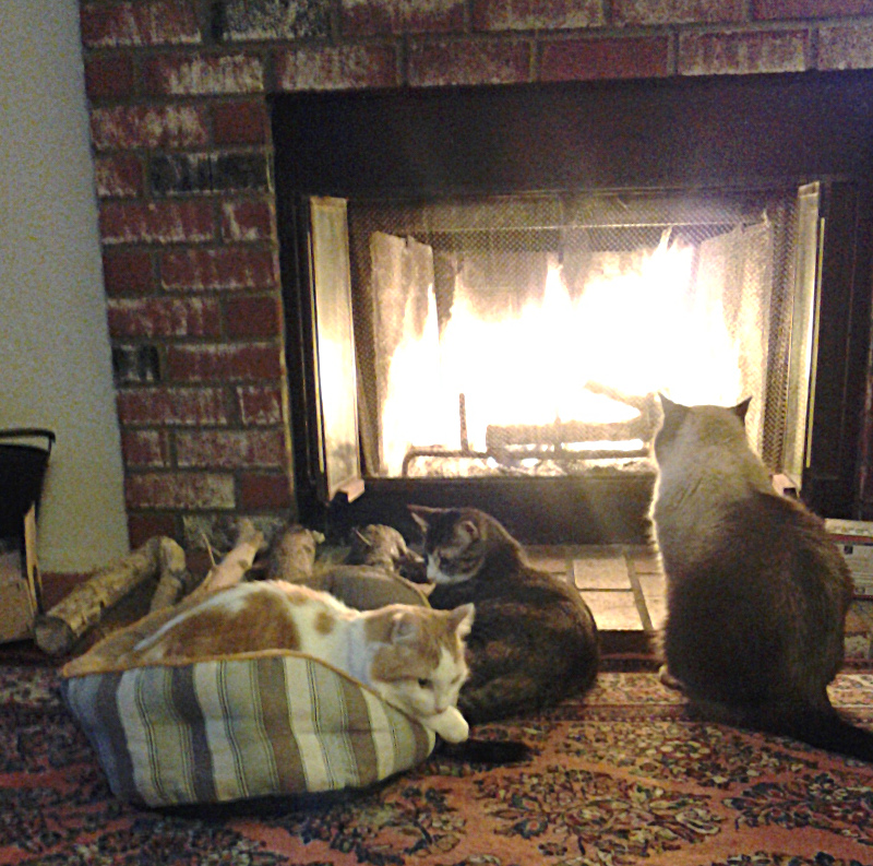 Jimmy, Suzy and Riley in front of the fireplace.