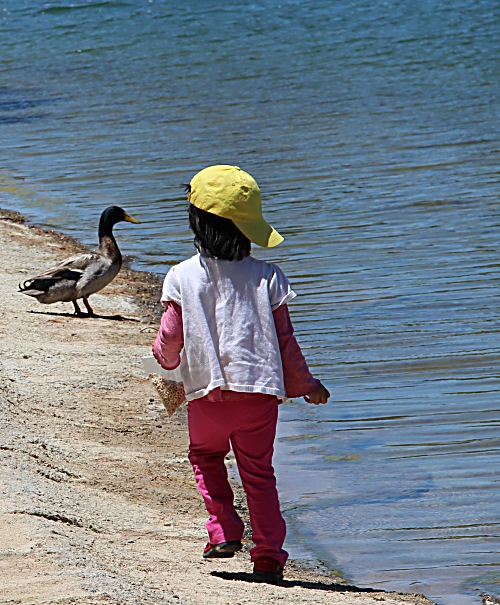 Yo Duck! Let's be friends...