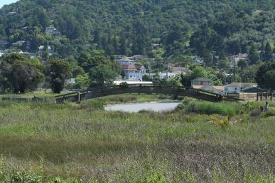 arch bridge at martinez waterfront park