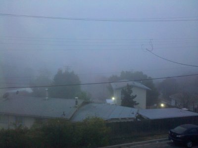Martinez in the fog